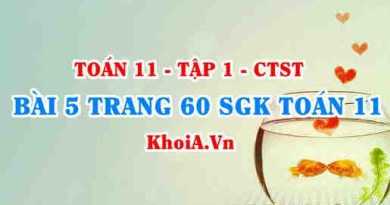 Bài 5 trang 60 SGK Toán 11 Tập 1 Chân trời sáng tạo